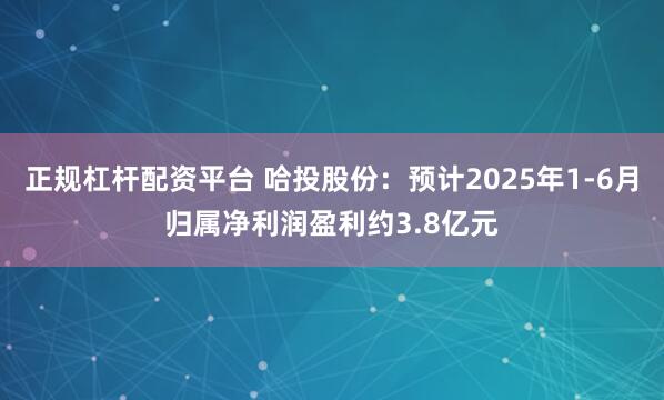 正规杠杆配资平台 哈投股份：预计2025年1-6月归属净利润盈利约3.8亿元