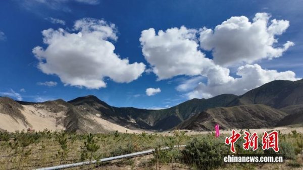 证券公司配资 辉煌60年·我们的家园&#32;|&#32;“像养孩子一般种树”：各民族团结奋斗，以心血浇灌生态奇迹