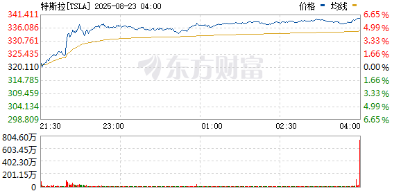 R图 TSLA_0